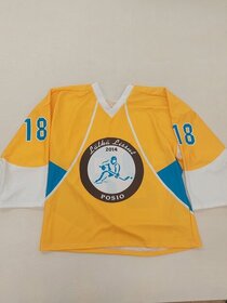 Fibe jääkiekkopelipaita